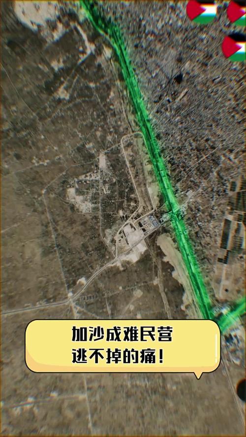 新澳2025正版免費資料和加沙数万难民抢食物与加沙数万难民抢食物视频