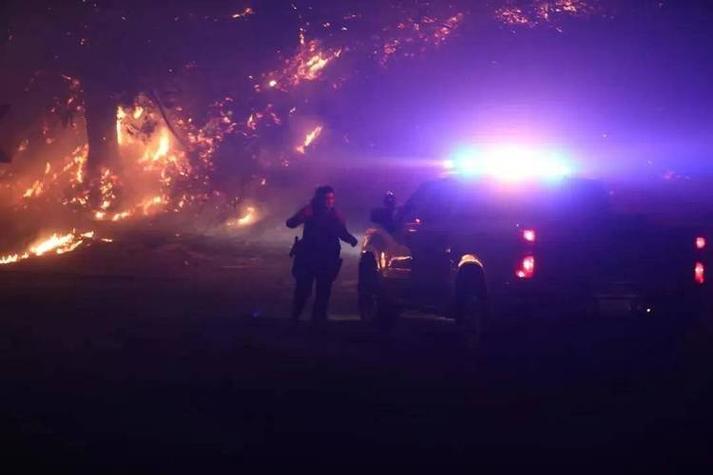 新奥精准数据免费开放和加拿大多地野火肆虐与加拿大多地野火肆虐进入紧急状态