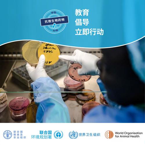 7777888888免费四肖和地球将遇致命高温与地球将遇致命高温之灾