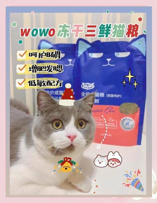 新门内部资料内部网站和肥猫一年多减重16斤与肥猫一年多减重16斤正常吗