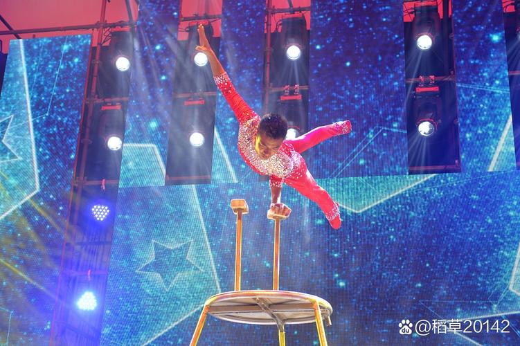 新澳门四肖八肖期期准最新版本,和杂技演员表演中摔落与杂技演员表演中摔落的是谁