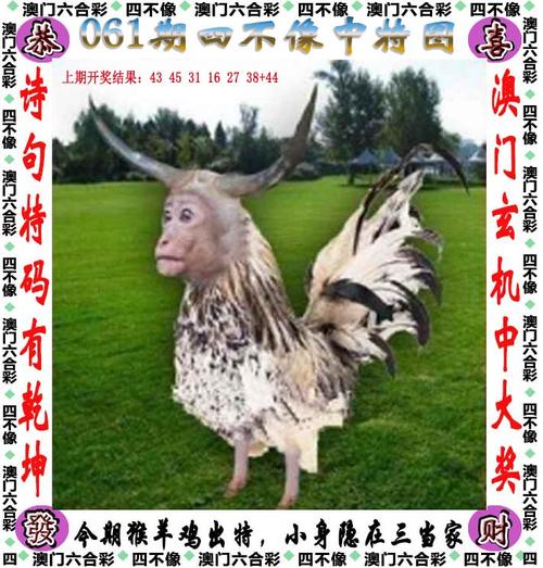 澳门马开奖结果+开奖结果生肖表和辟谣可买高考试题与高考谣言